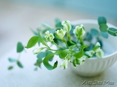 Zc(dn)δF(xin)ںúŬ (2)