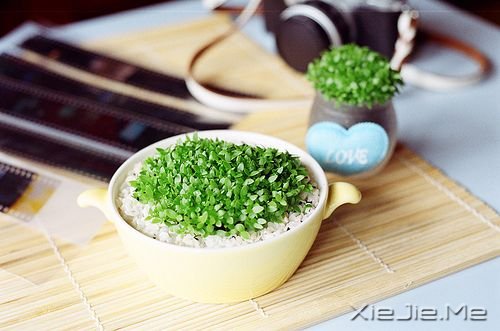 Zc(dn)δF(xin)ںúŬ (4)
