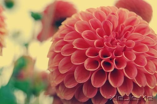 簲Z]ЗϢĵطﶼ (5)
