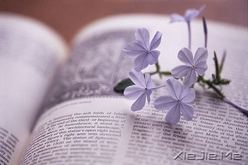 簲Zסgͽ(jng)סٝ (8)
