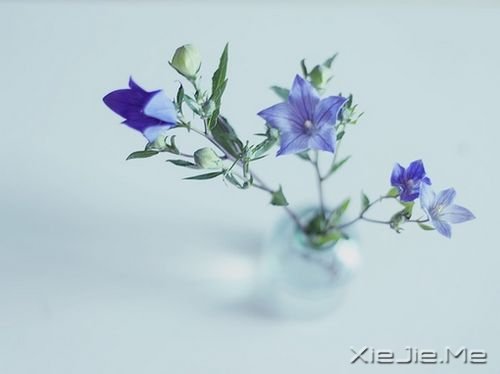 簲Z(y)Ůһ̎£񠔂һ˼ (2)