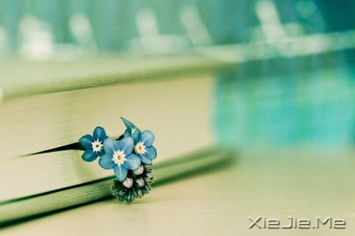 簲Z(y)Ůһ̎񠔂һ˼ (8)
