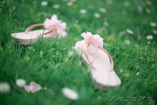 簲ZվòһضҊ (5)