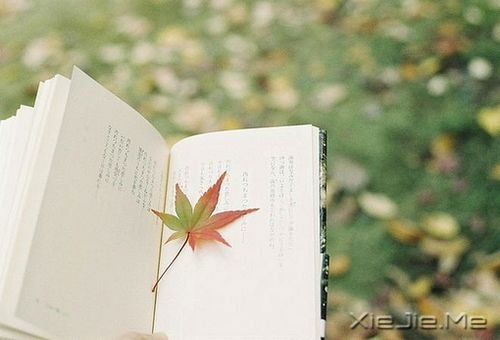 簲ZSҪһ˿ (2)