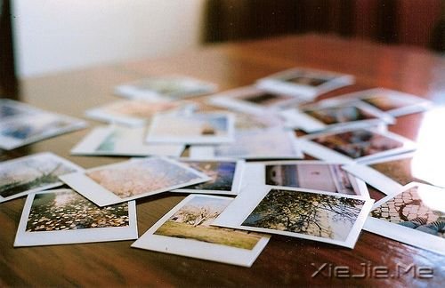 ~ZЩ Nĵĸ~ (9)