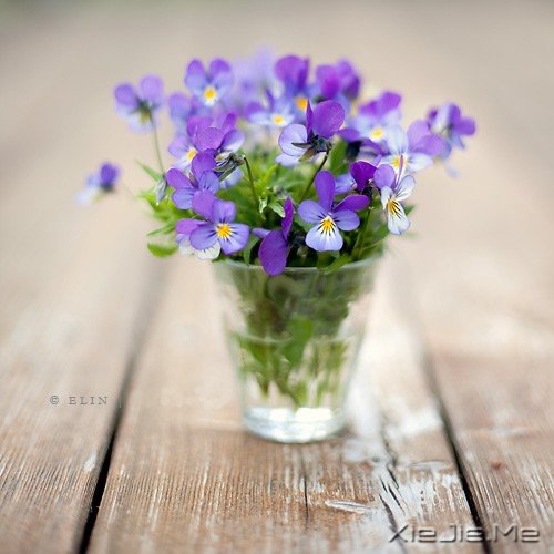 ϧ˴ː(i)^(gu)