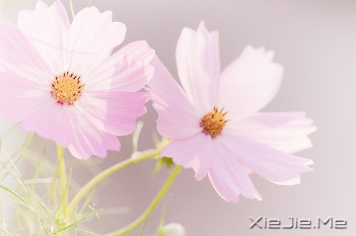 (jng)Z䛣cԹ׃Լ (1)