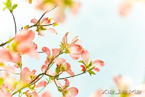 (jng)Z䛣cԹ׃Լ (2)