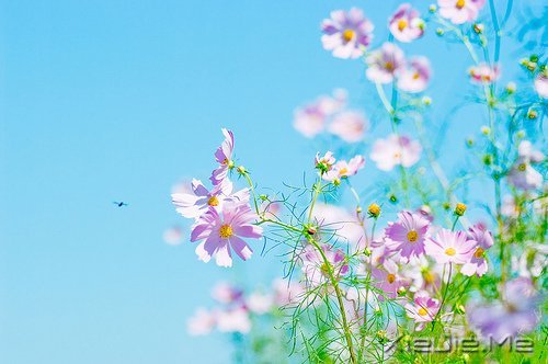 (jng)Z䛣cԹ׃Լ (3)
