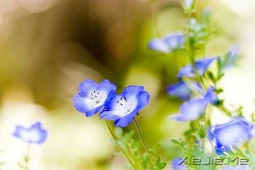 (jng)Z䛣cԹ׃Լ (4)