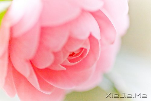 (jng)Z䛣cԹ׃Լ (5)