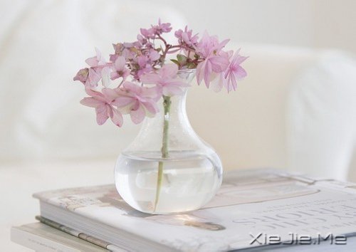 (jng)Z䛣cԹ磬׃Լ (6)