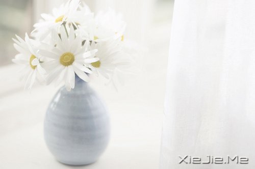 (jng)Z䛣cԹ磬׃Լ (7)