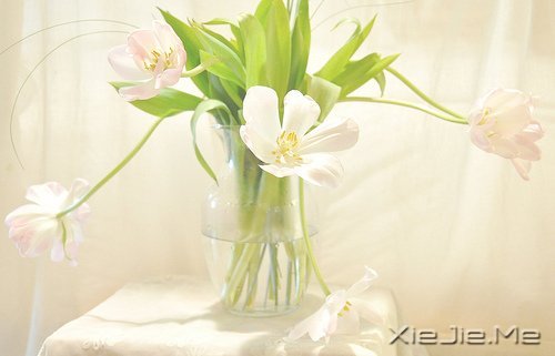 (jng)Z䛣cԹ׃Լ (8)