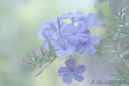 (jng)Z䛣cԹ׃Լ (9)
