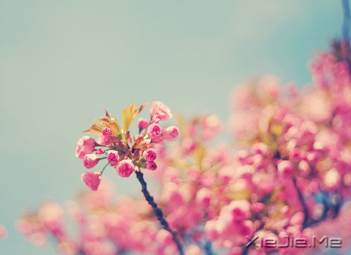 (jng)Z䛣cԹ׃Լ (11)