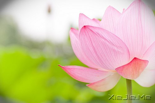 (jng)Z䛣cԹ׃Լ (12)