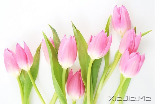 LĐ䌍(sh)cԼ