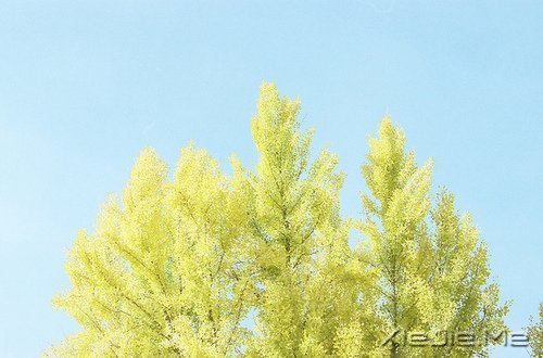 e^һҲF(xin)