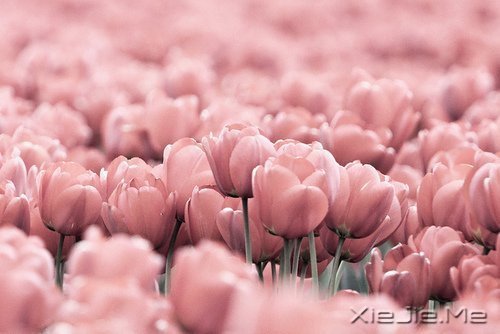 W(xu)ҪW(xu)(hu)ʮ