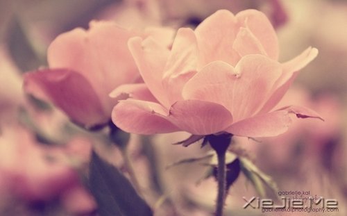 ^ۜIҲҪ