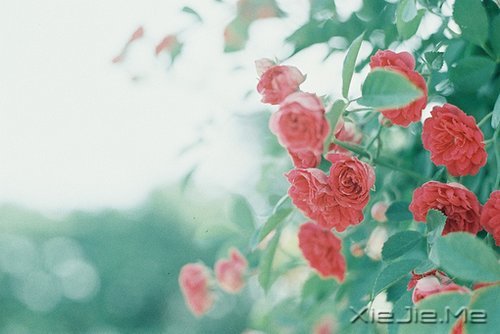׌һҹL(zhng)