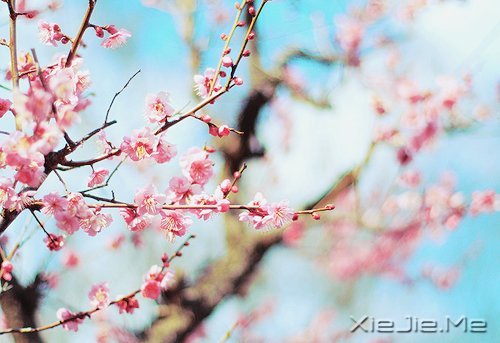 捹oՓΕr(sh)Aʢ_