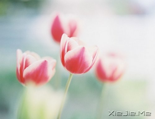 @ʮ?xn)|(hu)׃øӃ(yu) (2)