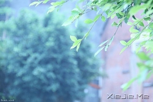@ʮ?xn)|(hu)׃øӃ(yu) (5)