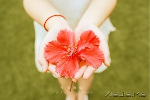 @ʮ?xn)|(hu)׃øӃ(yu) (7)