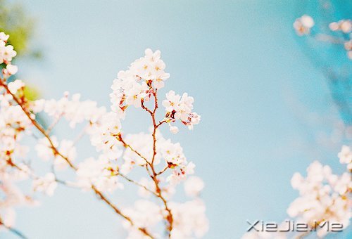 201412׃Լ (12)