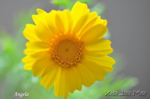 x (6)