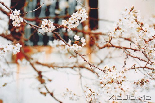 ˃HɹPһ (6)