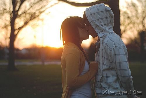 ِmףϧ (10)