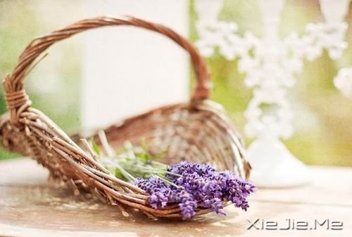 Щ(jin)εСҸ (1)