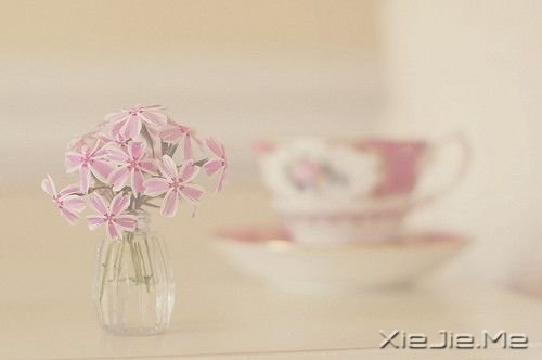 Щ(jin)εСҸ (2)